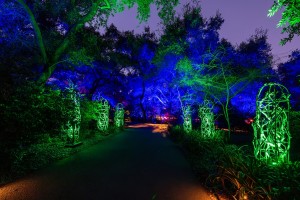 Lightswitch evolves “Enchanted: Forest of Light” with expanded Elation lighting package