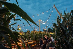 Campo Solar Festival lit by Painting with Light