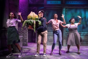 Bradley King lights ‘Little Shop of Horrors’ with Elation Artiste