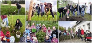 FAMAB Stiftung engagiert sich am „Tag des Baumes“