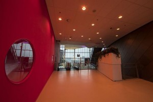 Anolis Ambiane fixtures installed at TivoliVredenburg Utrecht