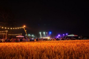 Campo Solar Festival lit by Painting with Light