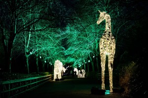 Tube UK supplies audio systems to Christmas trails in UK and Germany