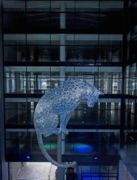 Anolis fixtures illuminate leopard Poised in Aberdeen