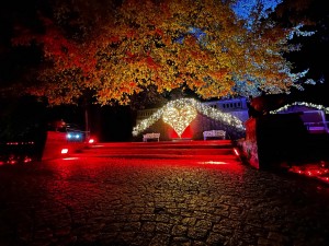 Meevi-Rent sichert Energieversorgung für drei „Christmas Gardens“ in Baden-Württemberg