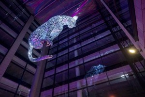 Anolis fixtures illuminate leopard Poised in Aberdeen