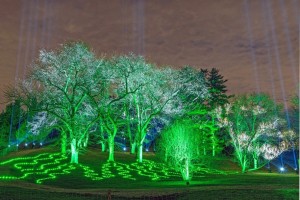 Corona: Over 700 Elation lights for 2020 Illumination - Tree Lights at The Morton Arboretum