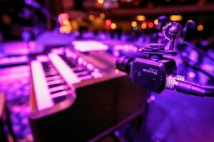 Marshall POV cameras for Dayglo Presents’ concert livestreams