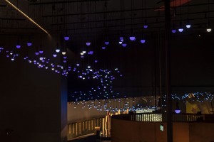 450 Astera NYX Bulbs for National Museum of Australia installation