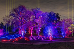 Corona: Over 700 Elation lights for 2020 Illumination - Tree Lights at The Morton Arboretum